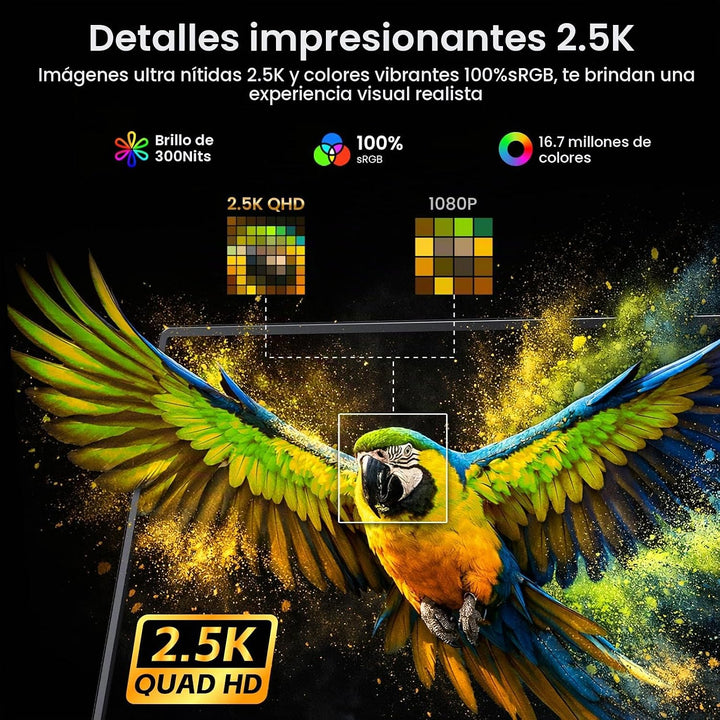 VILVA Monitor para juegos QHD 165Hz USB-C HDMI de 17.3" | 17.3&...