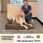 Bedsure Camas Ortopédicas para Perros Tamaño Grande - Cama Lavable para Perros Grandes y Gatos Impermeable, Sofá Cómodo para Perros con Funda Extraíble y Lavable, Cama para Mascotas con Parte Inferior