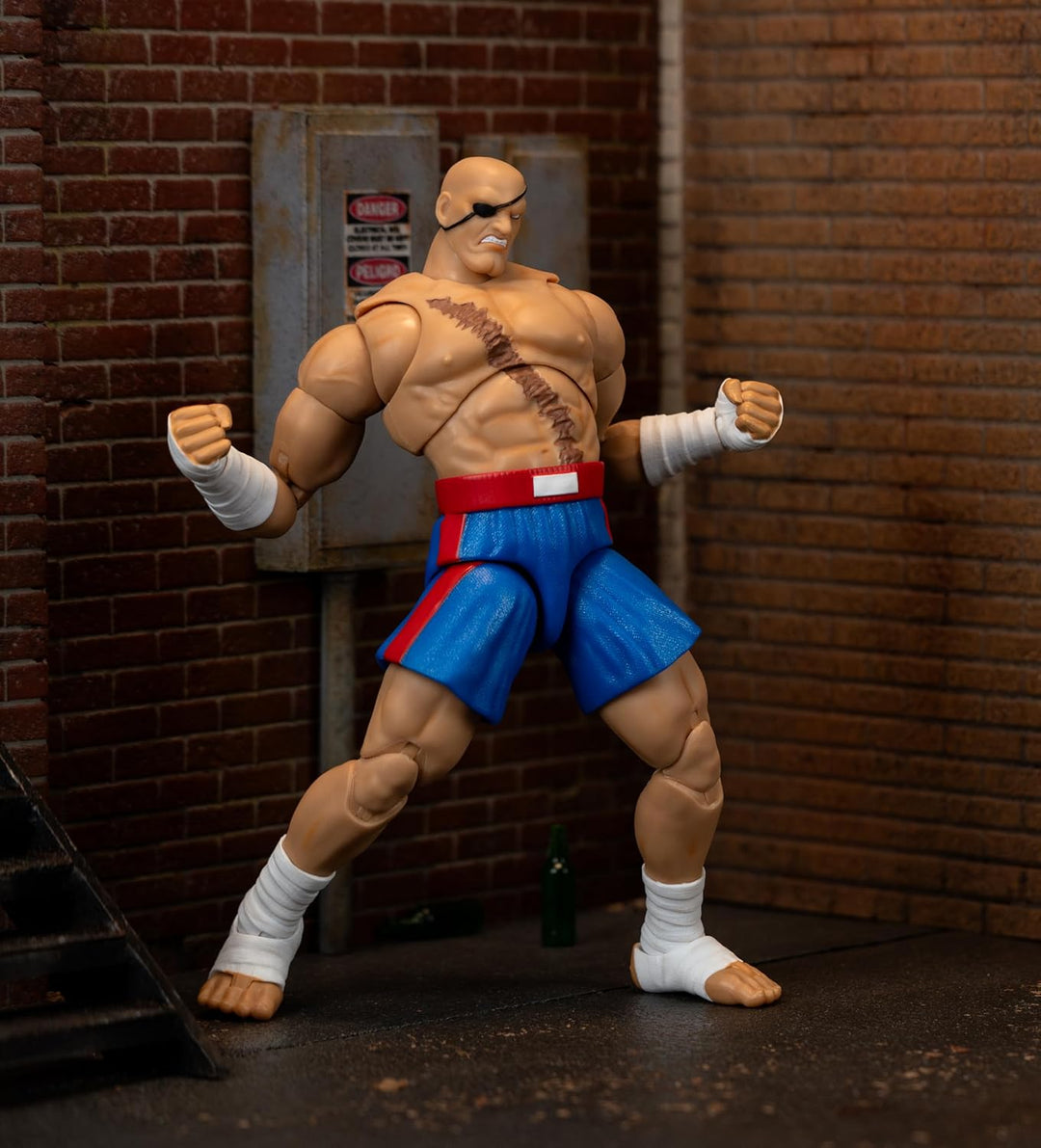 Jada Street Fighter II Sagat Deluxe - Figura de acción a escala 1:1...