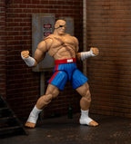 Jada Street Fighter II Sagat Deluxe - Figura de acción a escala 1:12, altamente articulada