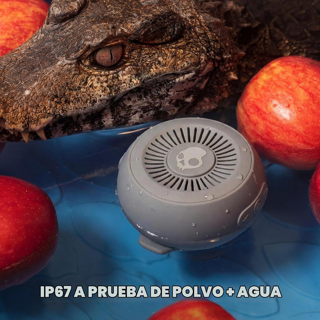 Skullcandy Session 360 Altavoz Bluetooth ligero portátil - Cemento