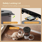 Alimentadores automáticos para gatos, alimentador automático del animal