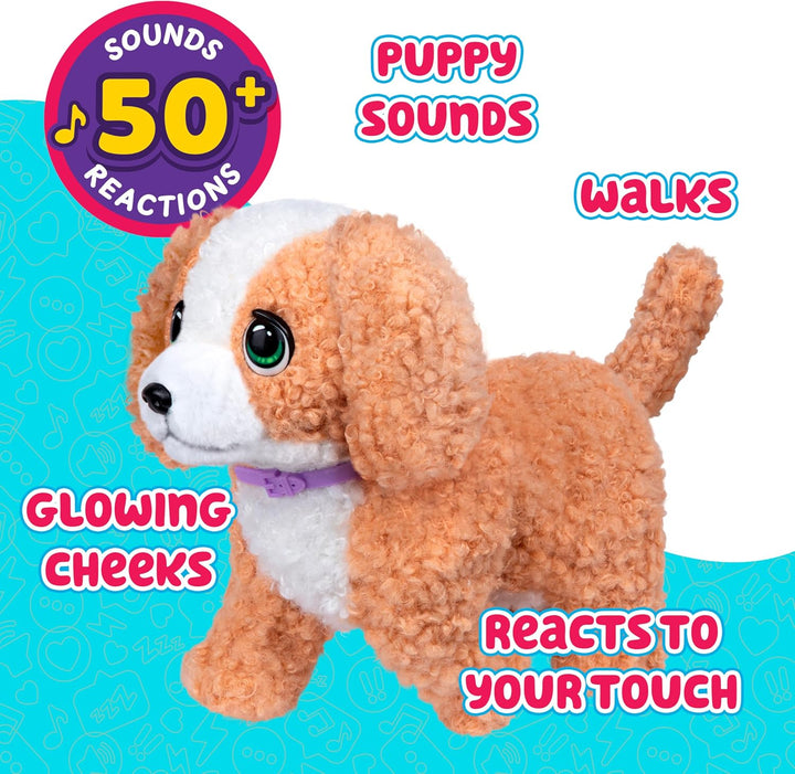 Little Live Pets Ouchies Exclusivo de Amazon Hazel The Poodle - Jug...
