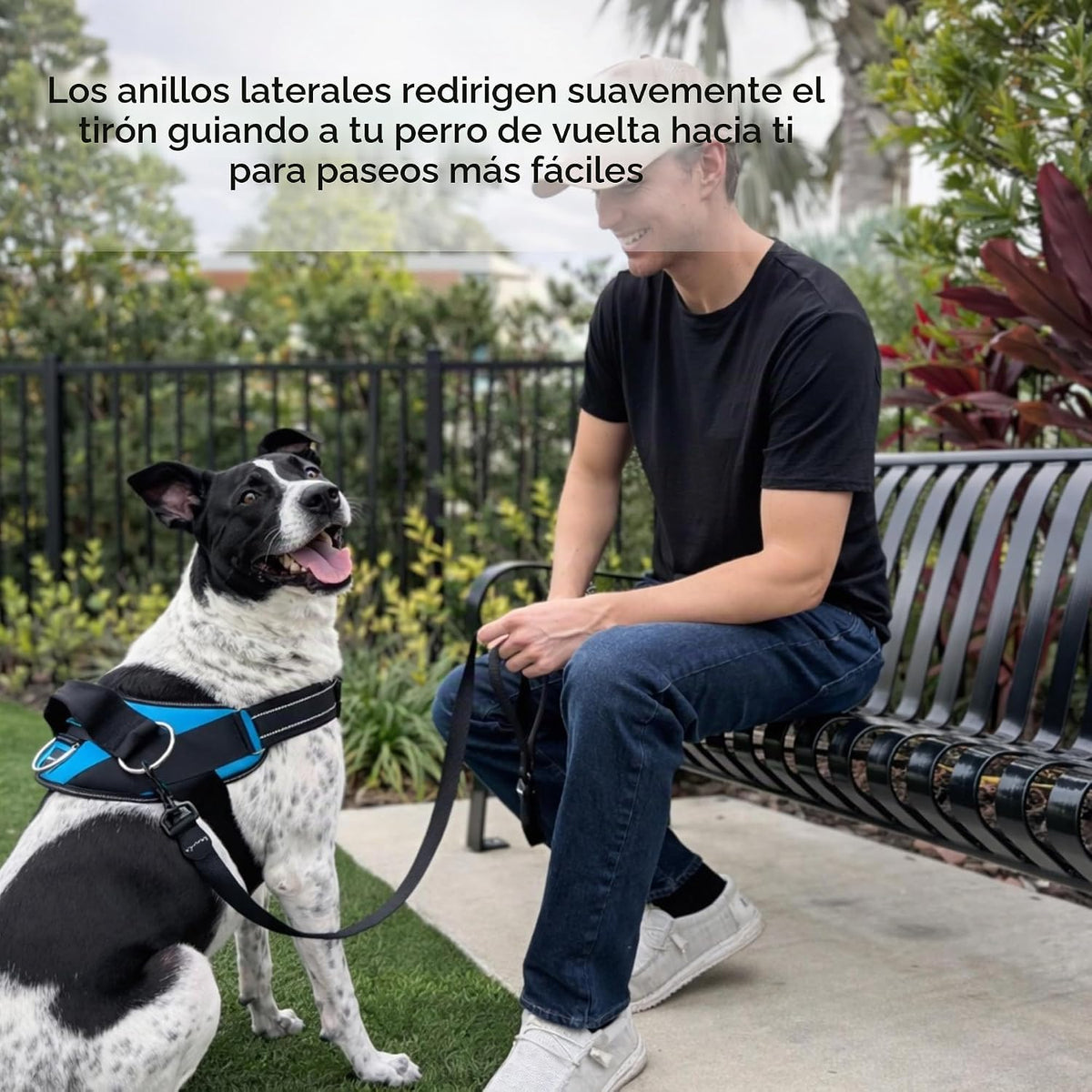 ShawnCo Arnés esencial para perro, chaleco sin tirones para mascotas con 3 clips de correa, sin estrangulamiento, reflectante, ajustable y acolchado, para caminar y entrenar fácilmente para perros