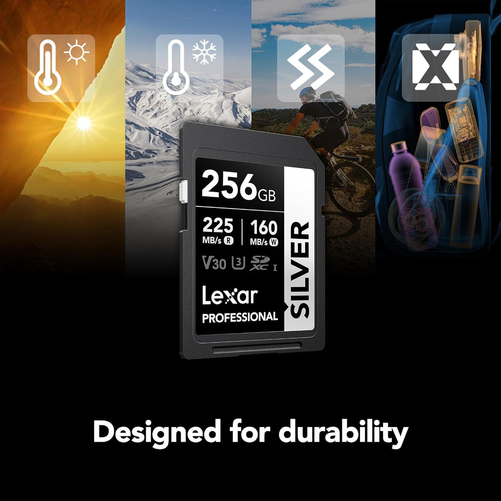 Lexar Tarjeta de memoria SD plateada de 256 GB, lectura de 225 MB/s, 4K