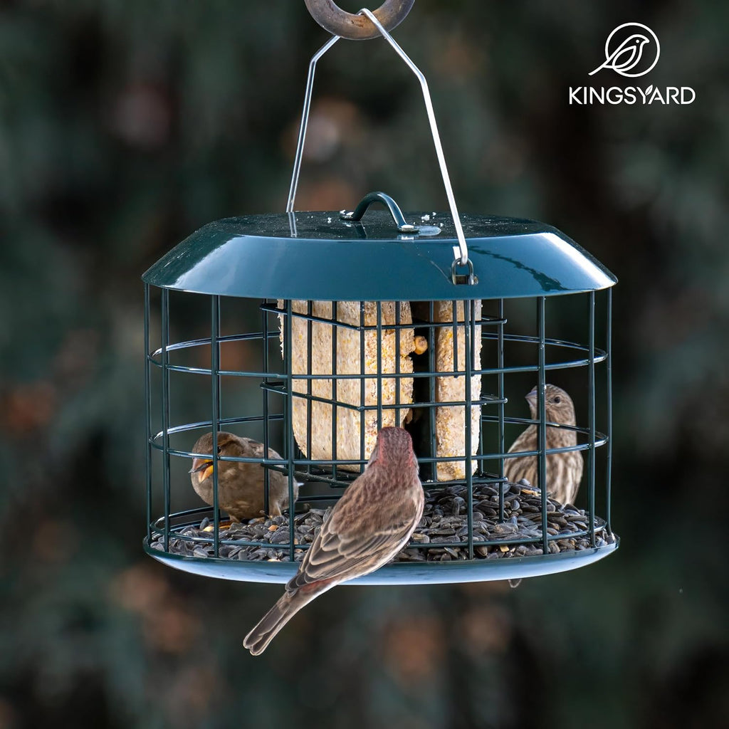 Kingsyard Comedero de sebo a prueba de ardillas, comedero para pájaros en jaula para colgar al aire libre, todo de metal, capacidad de doble sebo para pastel, bandeja y resistente a la intemperie, verde
