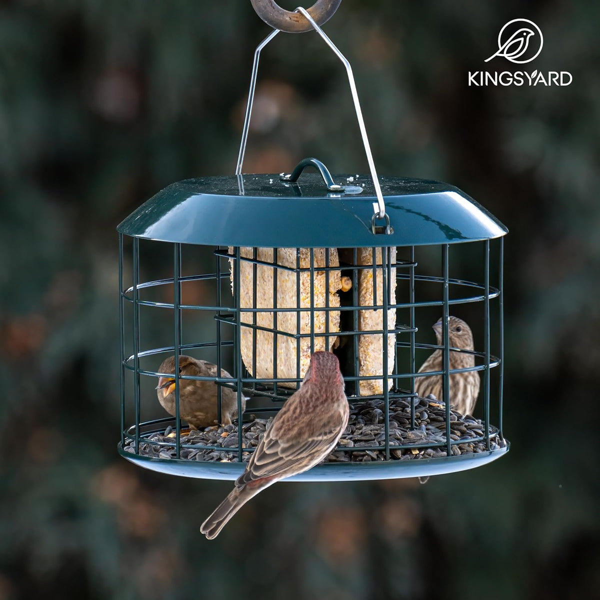 Kingsyard Comedero de sebo a prueba de ardillas, comedero para pájaros en jaula para colgar al aire libre, todo de metal, capacidad de doble sebo para pastel, bandeja y resistente a la intemperie, verde