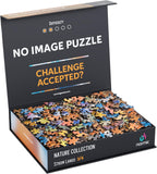 Rompecabezas sin imagen 1000 piezas irregulares Extremo Difícil Jigsaw Desafío Adultos Rompecabezas más difícil Sin guía Ultimate Brain Teaser Nivel Intermedio Stormlands Misterio Regalo