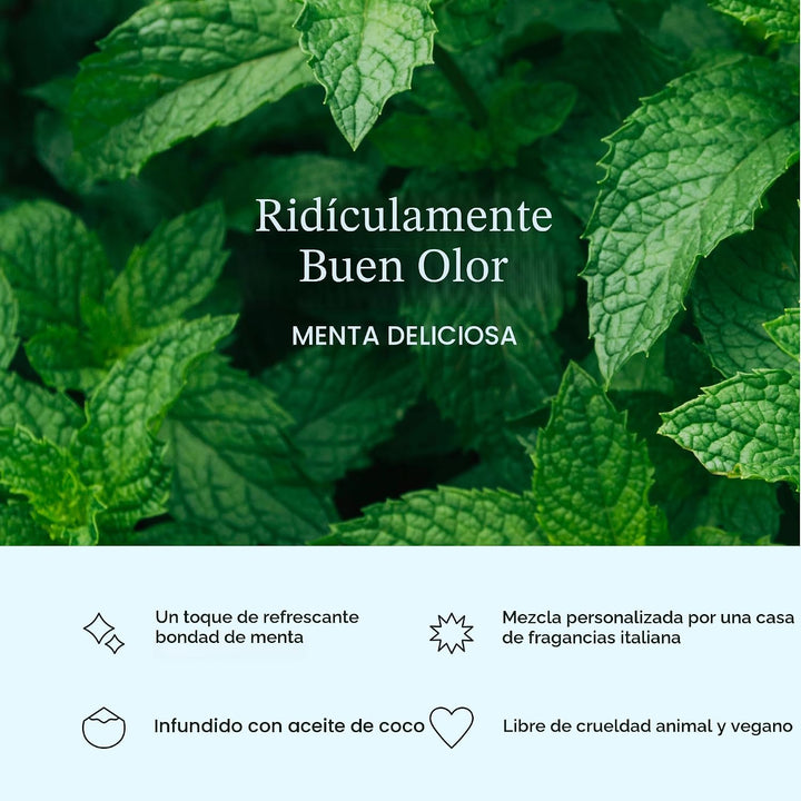 Cocofloss Hilo Dental Tejido, Cuidado Bucal Diseñado por Dentistas,...