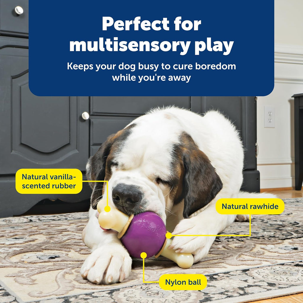 PetSafe Busy Buddy Bouncy Bone - Juguete ajustable 3 en 1 de alimentación lenta con anillos de golosinas recargables, limpia dientes y encías, cura el aburrimiento y ralentiza los hábitos alimenticios