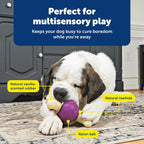 PetSafe Busy Buddy Bouncy Bone - Juguete ajustable 3 en 1 de alimentación lenta con anillos de golosinas recargables, limpia dientes y encías, cura el aburrimiento y ralentiza los hábitos alimenticios