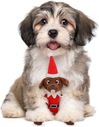 PUPROAR Vaso para cachorros + paquete de juguetes para perros Pooch On A Perch
