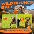 Fida Pelotas de goma natural para perros masticadores agresivos, juguetes duraderos para masticar perros grandes, juguetes interactivos de buscar y tira y afloja para razas medianas y grandes, no