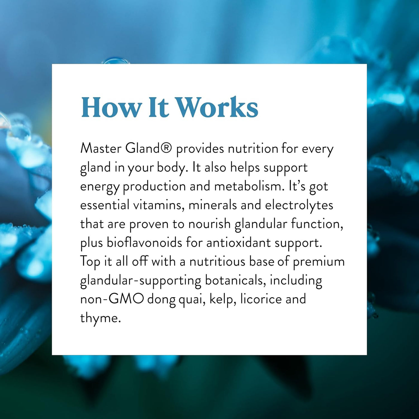 Nature's Sunshine Master Gland, 120 cápsulas | Proporciona apoy...