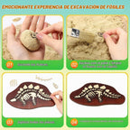 Jenaai Kit de excavación de arqueología para excavación de dinosaurios
