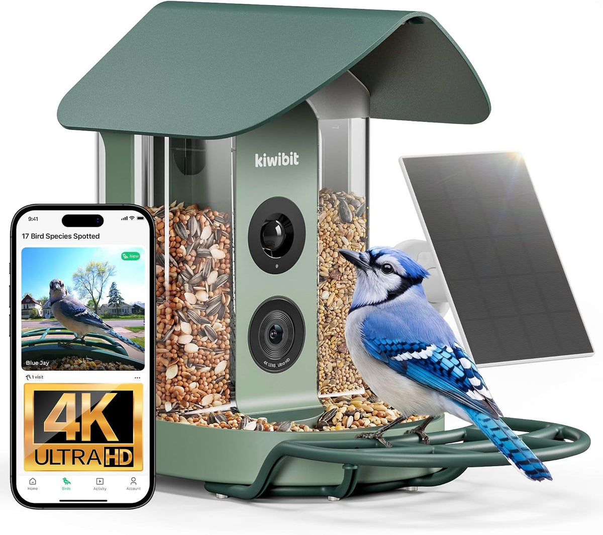 Comedero para pájaros con cámara 4K, alimentado por energía solar