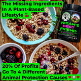 Vegan's Best Friend - Multivitamínico a base de plantas para ho...