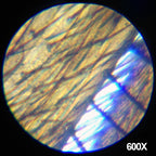 AmScope M30-ABS-KT2-WM 1200X Kit de ciencia de microscopio de 52 piezas +
