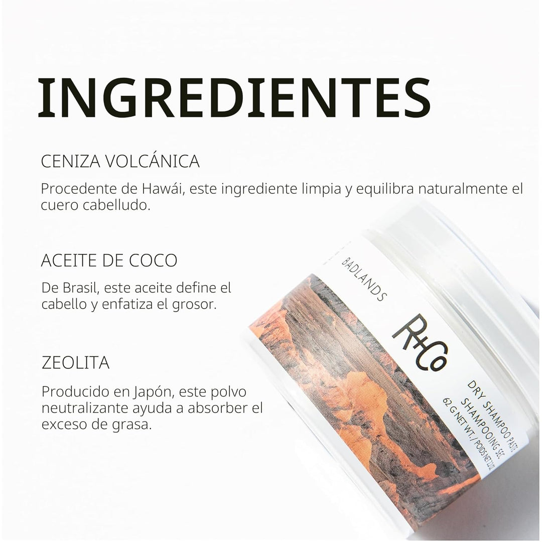R+Co Badlands Dry Shampoo Paste | Part Dry Shampoo, Part Styling Pa...