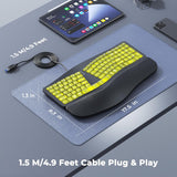 MEETION Teclado ergonómico con cable, retroiluminación transparente...