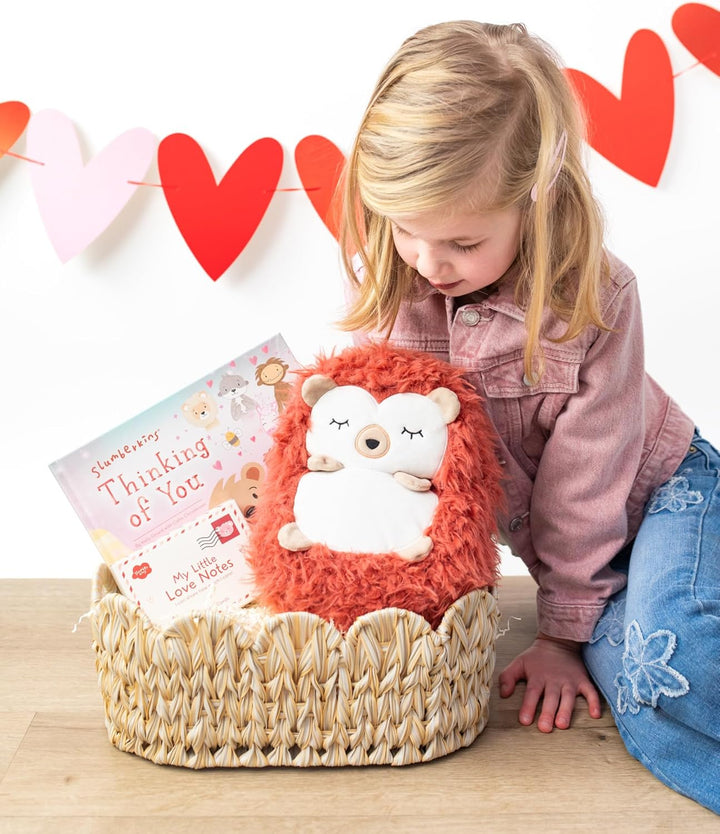 Slumberkins Hedgehug Valentines Set - XL Hedgehog Plush