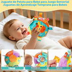 Juguete musical de bola para bebé con sonidos y canciones y grabación, juguetes sensoriales para bebés de 0-3-6-9-12 meses, juguetes de pelota para gatear para bebés de 3, 4, 5, 6, 7, 8, 9