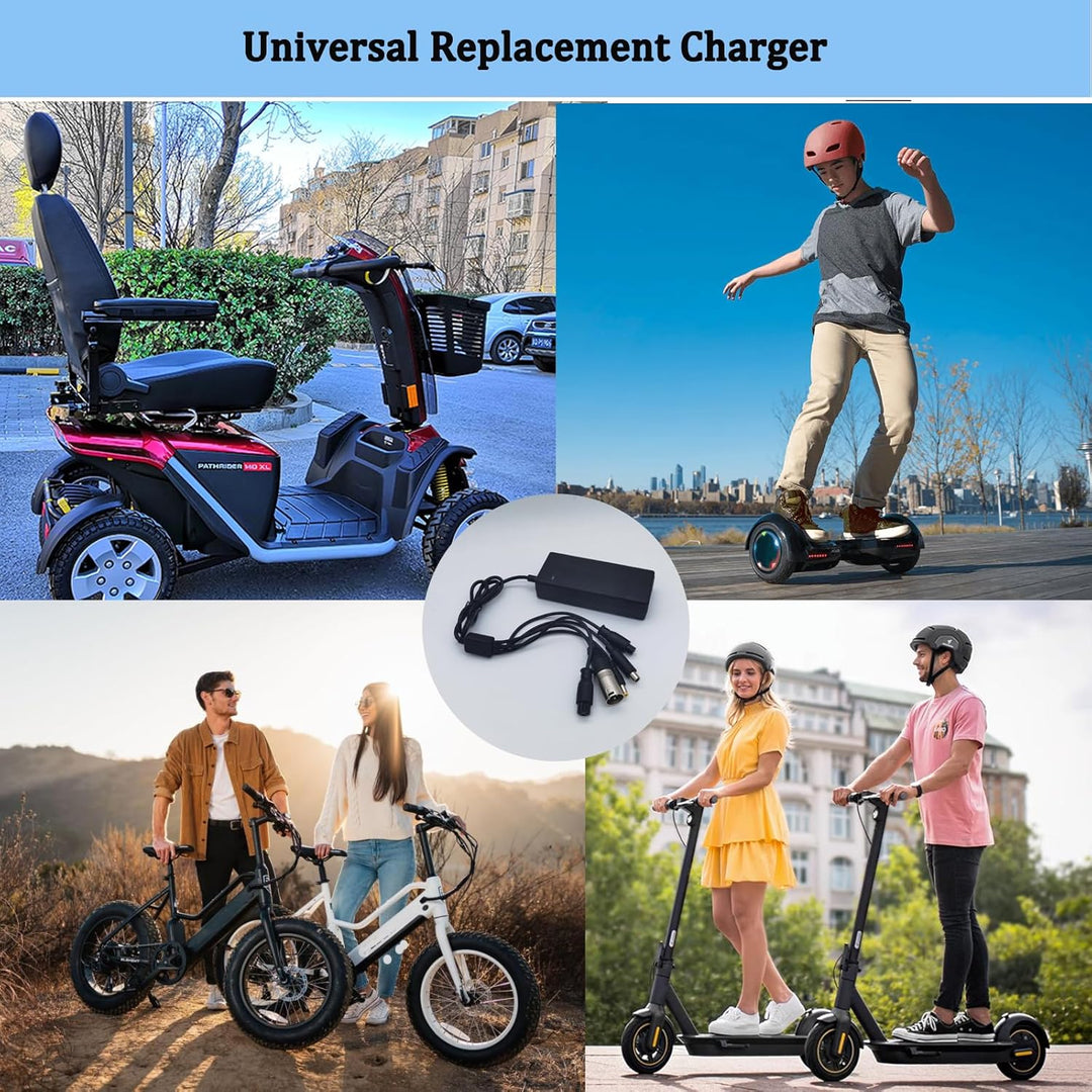 Cargador eléctrico de bicicleta de 48 V 546 V 2 A rápido