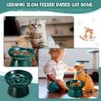 Tioncy - Cuenco elevado de cerámica para gatos (2 unidades), color verde