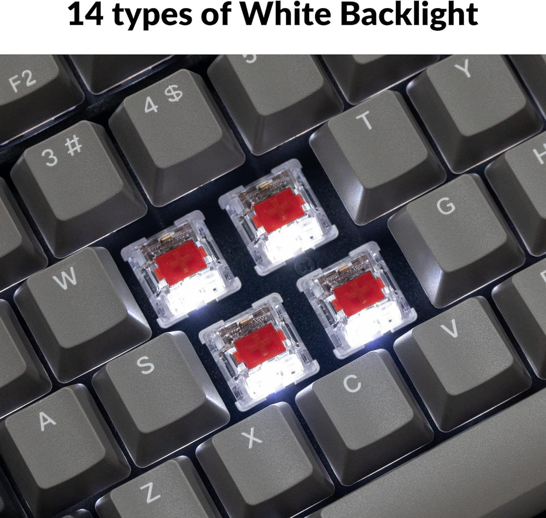 Keychron C2 Pro Teclado mecánico con cable personalizado de tamaño...