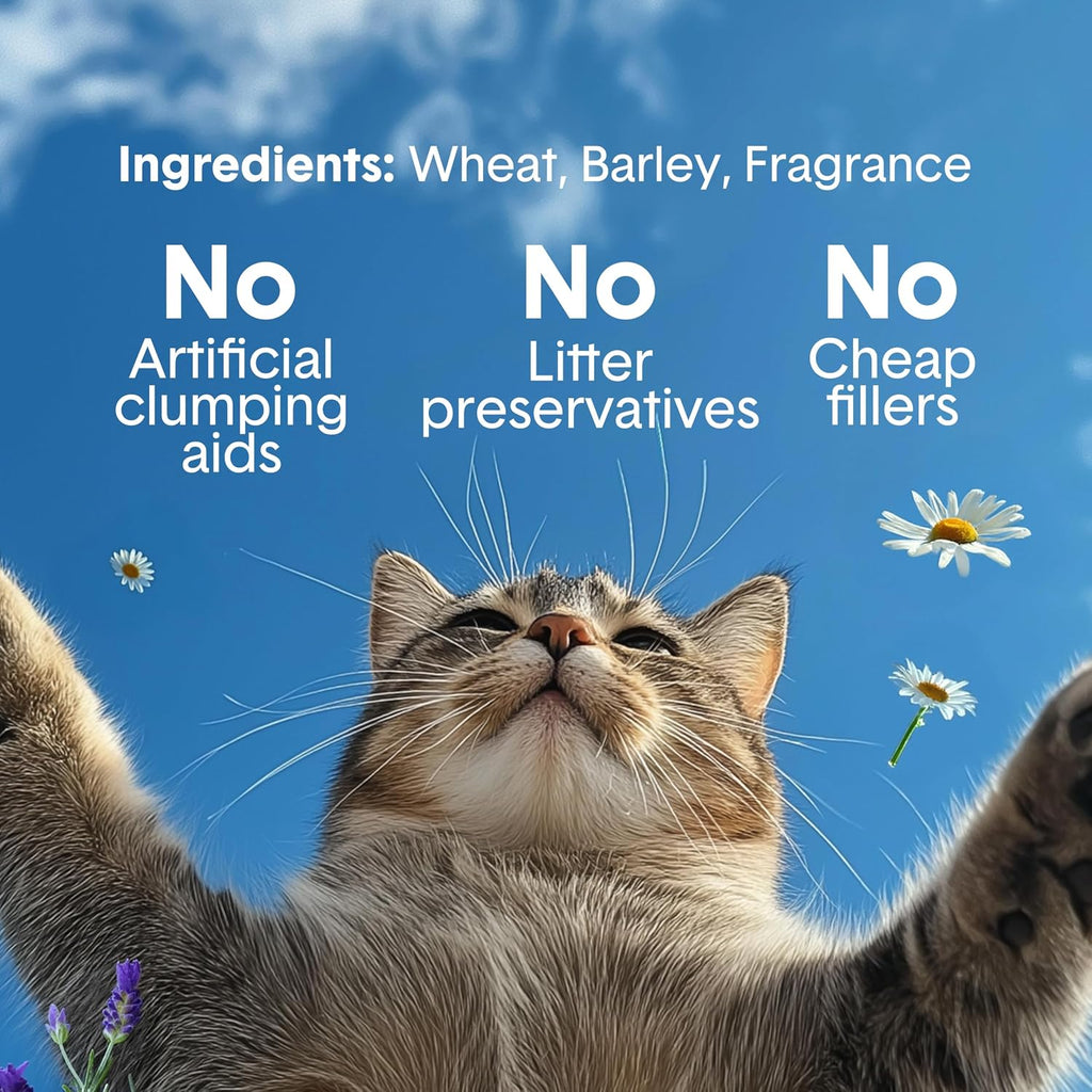 Boxie - Arena para gatos suavemente perfumada, ligera, control de olores de 30 días, agrupamiento, 16.5 libras