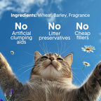 Boxie - Arena para gatos suavemente perfumada, ligera, control de olores de 30 días, agrupamiento, 16.5 libras