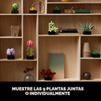 LEGO Suculentas Botánicas 10309
