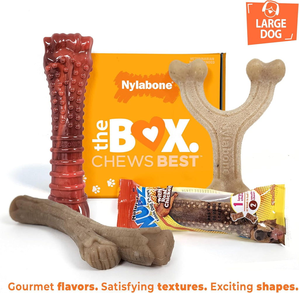 Nylabone - Caja de regalo para perros, juguetes masticables fuertes y