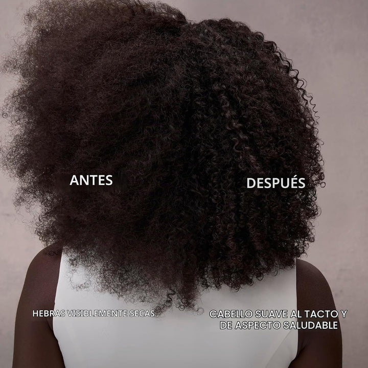 Champú hidratante Nexxus Therappe Ultimate Moisture para cabello se...