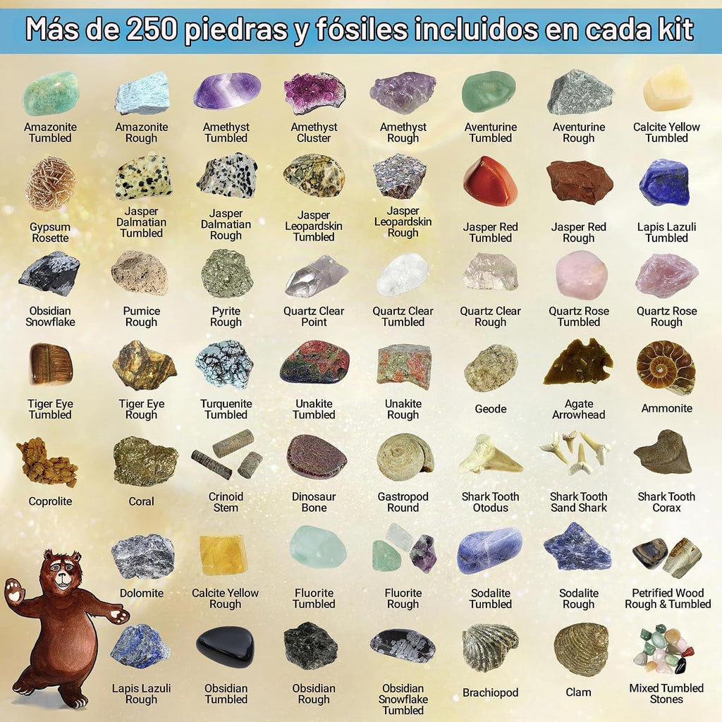 Set de actividades de la colección Rock & Mineral (más de 150 piezas), hoja de identificación educativa más 2 geodas fáciles de romper, dientes de tiburón fosilizados y flechas de la marca Dancing Bear
