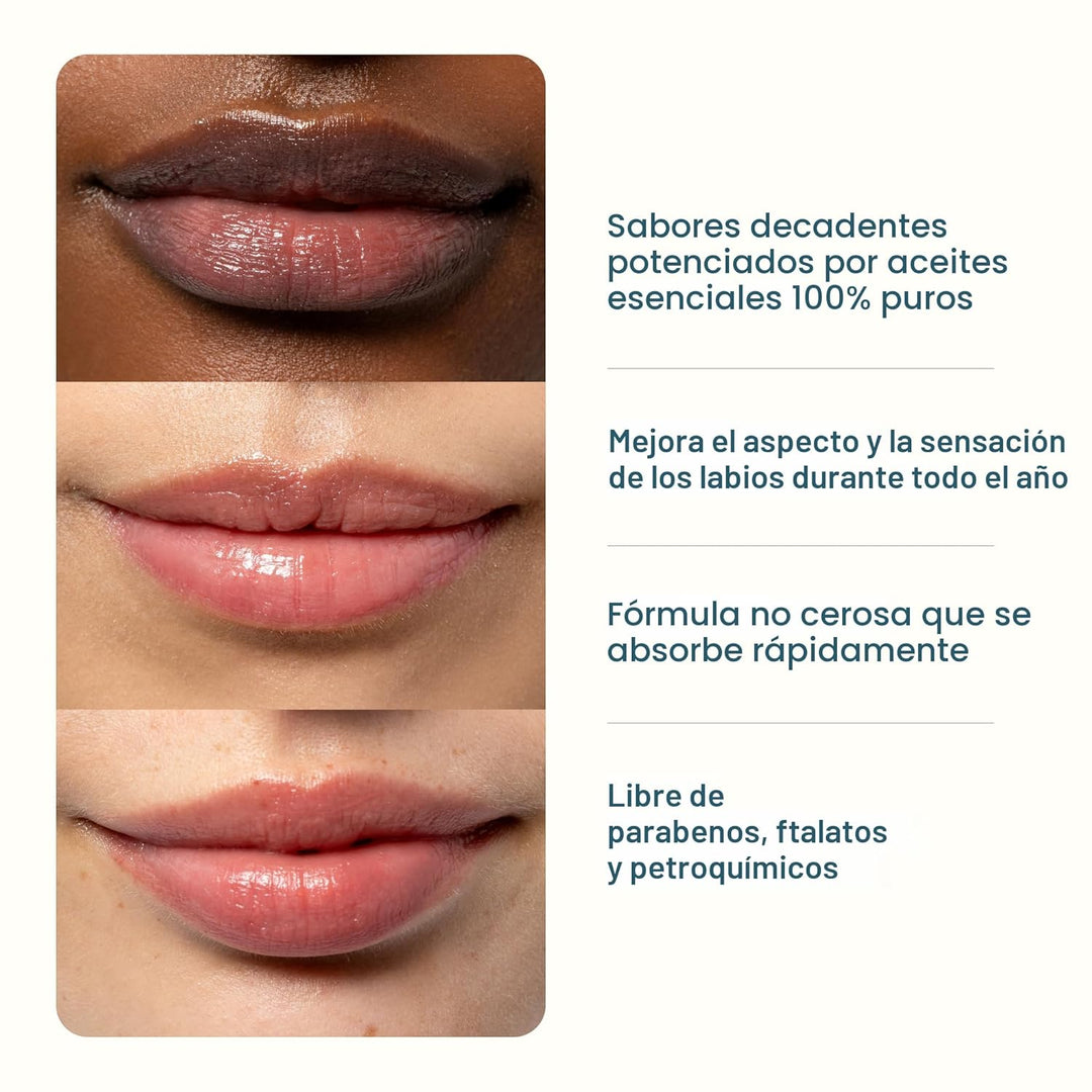 Cliganic Set de bálsamo labial orgánico (6 sabores) - 100% hidratan...