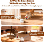 Juguete interactivo para gatos de interior, cinta de correr