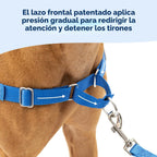 PetSafe Easy Walk - Arnés para perro, sin tirones, gris carbón, grande
