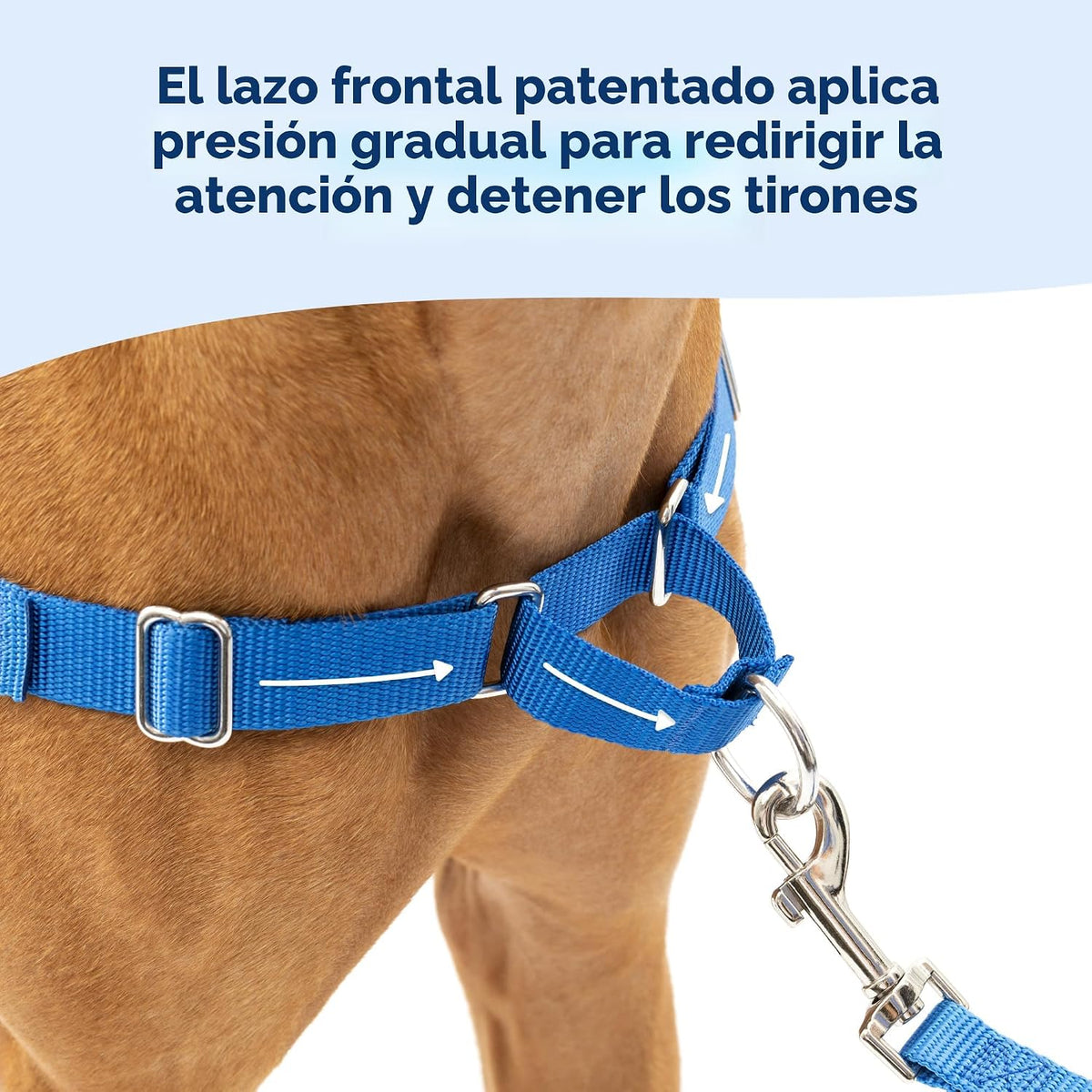 PetSafe Easy Walk - Arnés para perro, sin tirones, gris carbón, grande