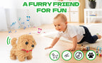YOUGAANY Compañero interactivo para cachorros que camina