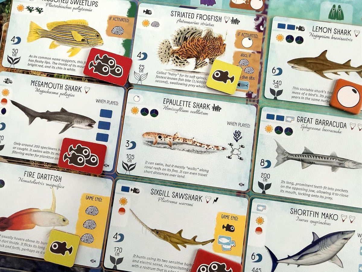 Stonemaier Games: Finspan: Expansión de tiburones y arrecifes de Michael