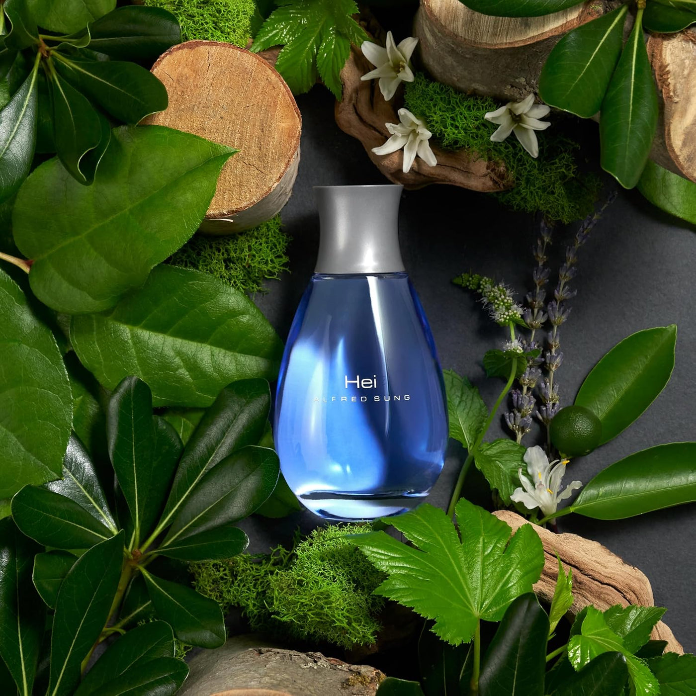 ALFRED SUNG HEI Colonia para hombre, Eau De Toilette vaporización e...