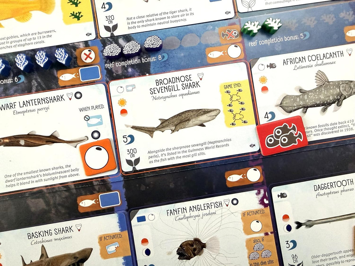 Stonemaier Games: Finspan: Expansión de tiburones y arrecifes de Michael