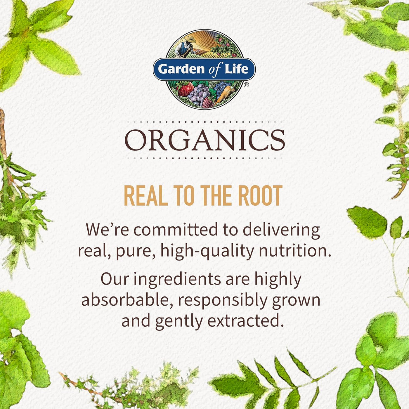 Garden of Life Once Daily Multivitamínico de Alimentos Integrales p...