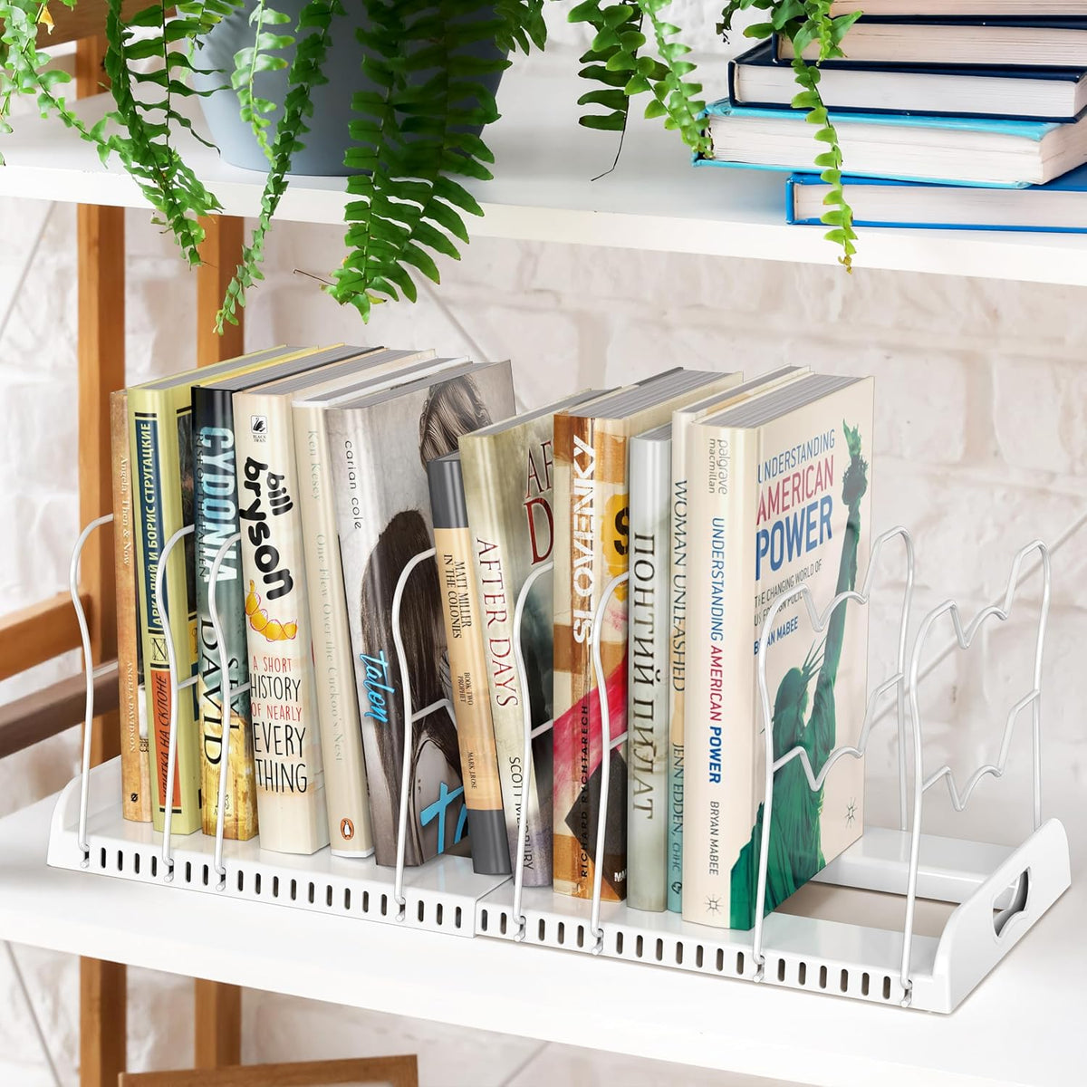 Simple Houseware Estante expandible para sartenes con 10 compartimentos