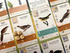 Stonemaier Games: Paquetes de Promoción de Aves Diseñadas por Fans de Wingspan | 150 Nuevas Aves Diseñadas por Fans Usando Poderes del Juego Base y Expansiones | Arte Consistente con las Aves