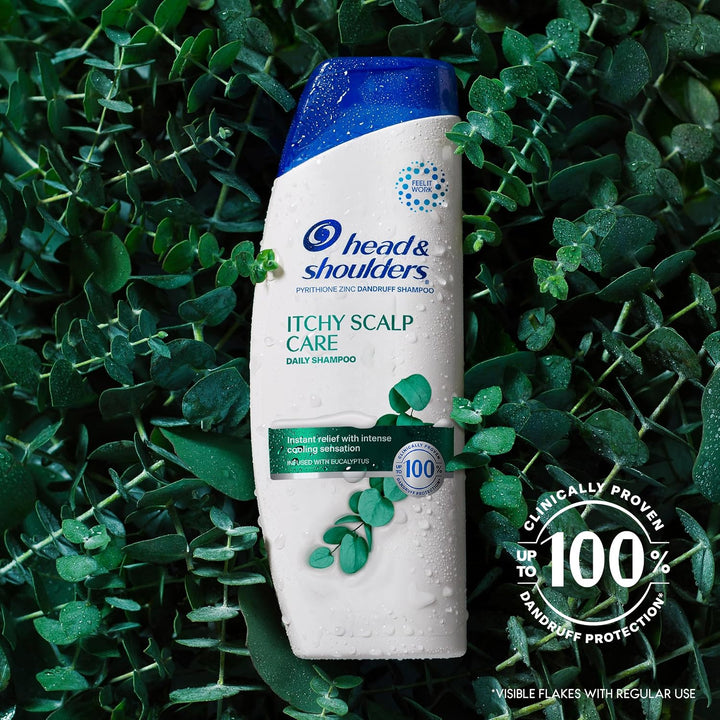 Head &amp; Shoulders Champú y acondicionador anticaspa, con eucalip...