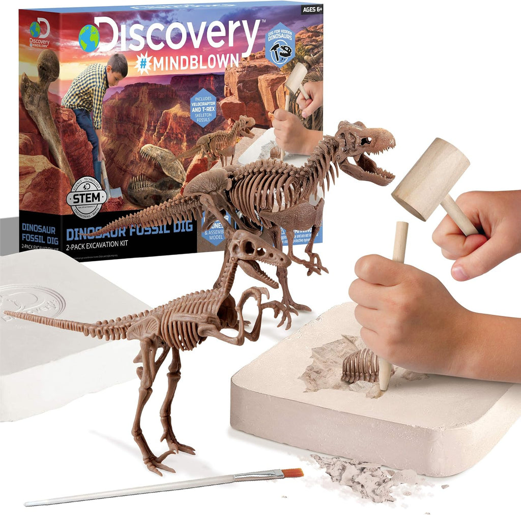 Discovery Kit de excavación de fósiles de dinosaurios - Excavar y montar esqueletos de T-Rex y Velociraptor | Rompecabezas de huesos de dinosaurio 3D | Juguete de paleontología jurásica para niños |