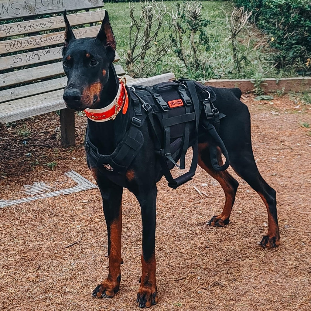 OneTigris Arnés de elevación para perros grandes, soporte de cadera para perros, elevador de cuerpo completo con asas Invictus Chaleco multifuncional de asistencia para movilidad para patas traseras