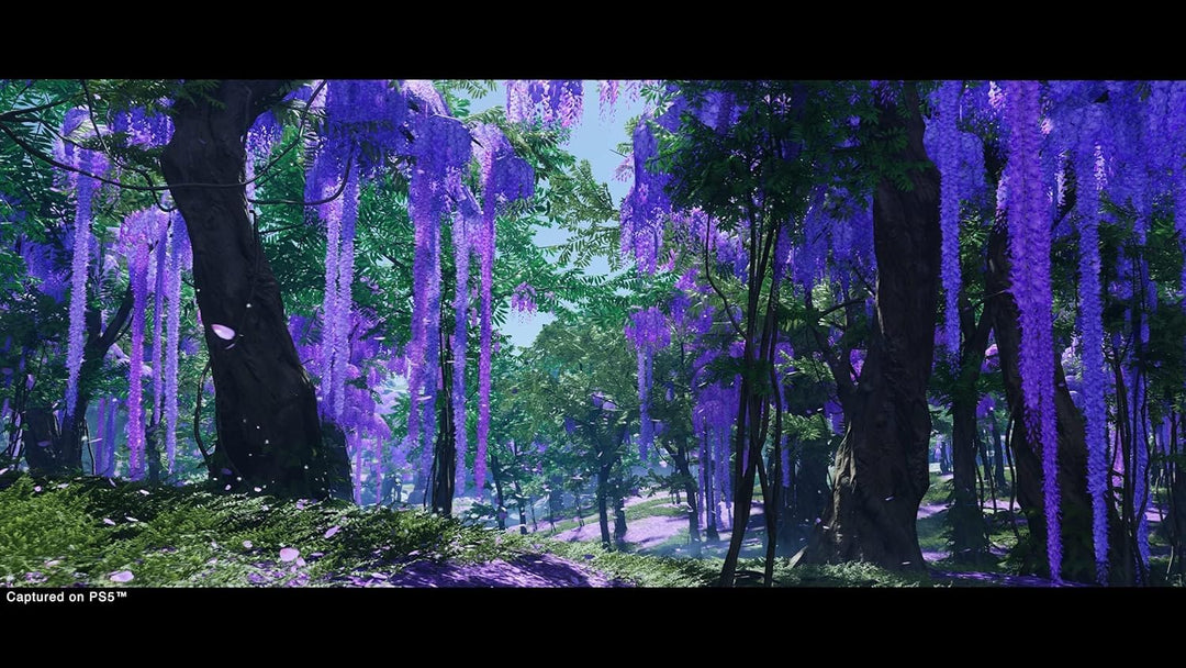 PlayStation, Ghost Of Tsushima Director's Cut (PS5)